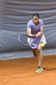 Bild 494 - HL THC von Horn und Hamm - Marienthaler THC : Ergebnis: 5:1